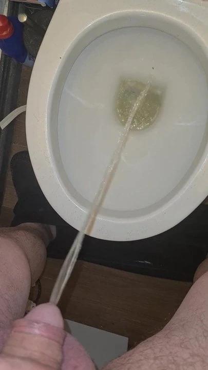 piggychef