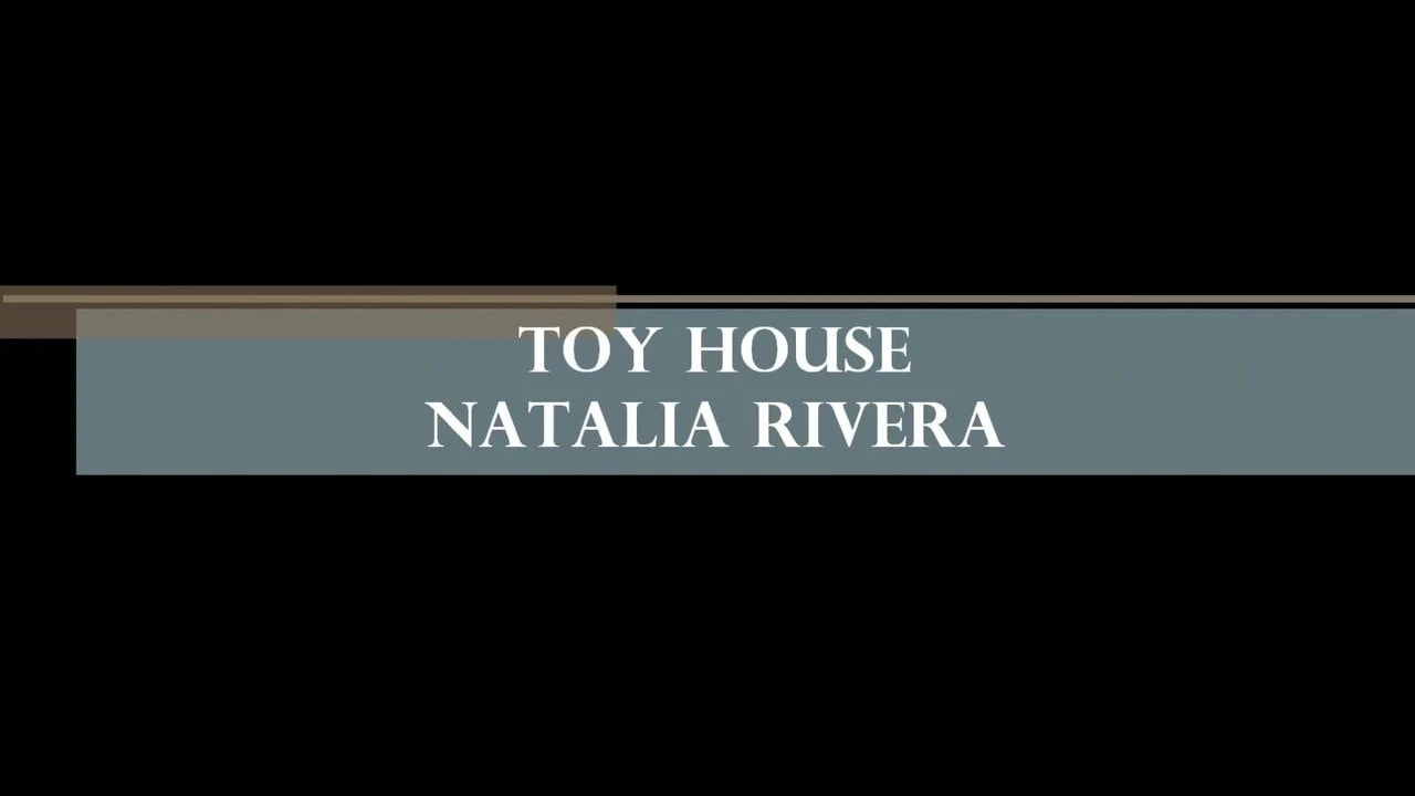 Casa de jucării Natalia Rivera