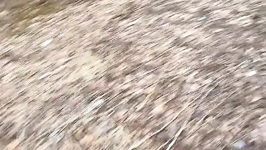 Ormanda Çok Havalı Işiyor