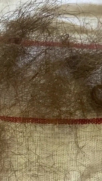 Detik ikonik dari "Rambut Pepek memancut mani fetish semak berbulu"