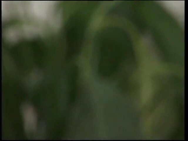 Sarışın gild götten sikiliyor