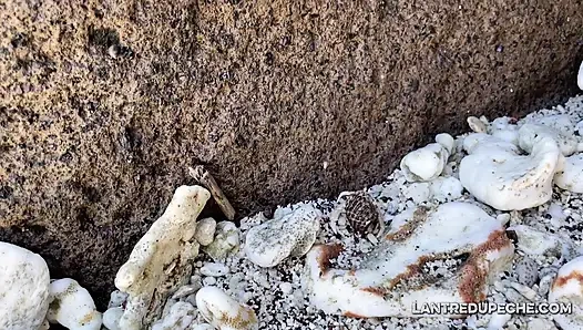 New vlog with my step brother