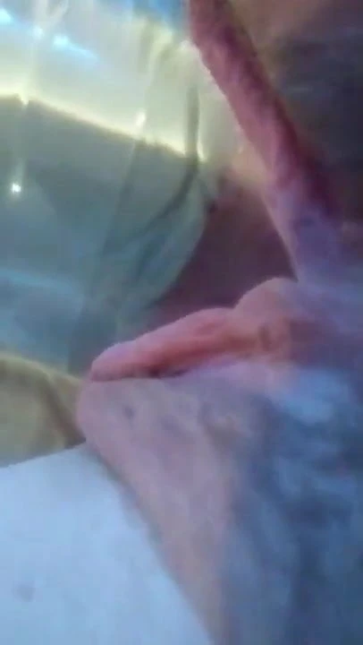 굉장한 거대한 병 베이트