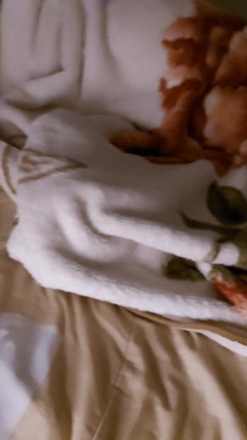 Key moment from "Inappropriate act by stepmother's stepson after watching a horror film"