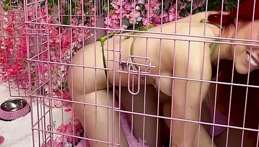 Pink room ep.33: geile latina-schlampen zoey und jessica lieben schwanz