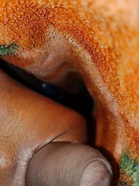 Mera land tumhara chut mein