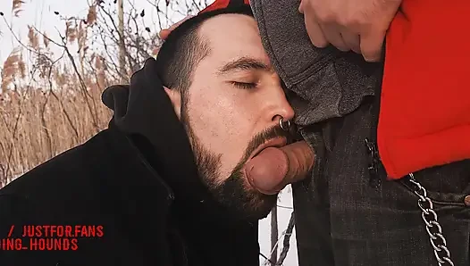 Bearded otter giving his bro a warm blowjob in the snow field.