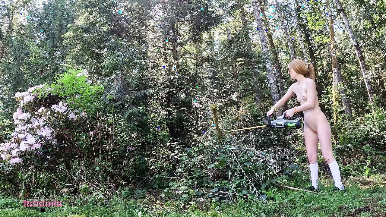 Fixing Up The Yard