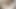 大学時代の小柄な女の子を追いかけてる