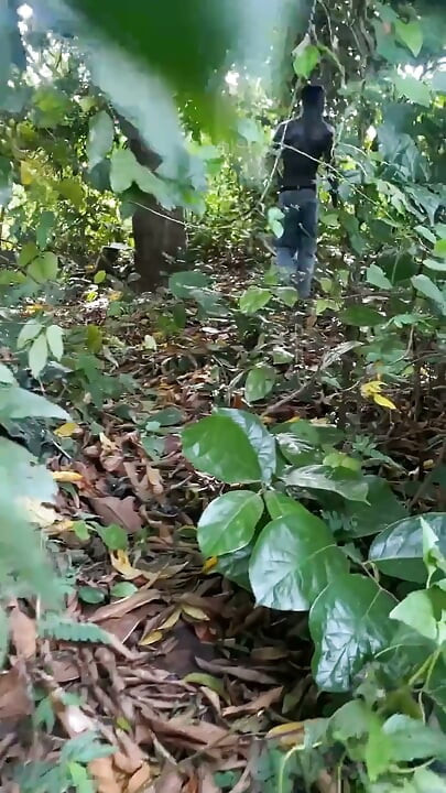 Black Mamba Was in His Bush