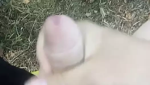 Ormanda elle muamele - paja en el campo
