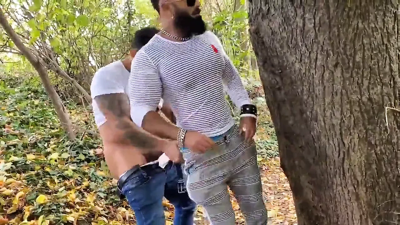 Rfc Hotpark Viktor Rom和毛茸茸的Sam