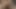 Ebony Sucking Dick And Swallow Cum