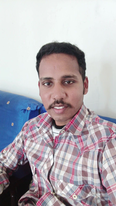 血管の勃起したペニス。