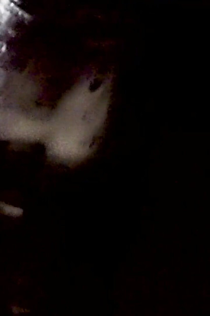 Ayah tiri, awak berjanji untuk tidak memancut ke dalam pepek saya. Awak penipu