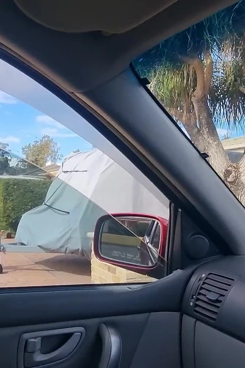 Naked in the Car