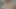 Bangladeşli erkek kardeş ve üvey kız kardeş sert seks yapıyor. Yüz sikişi, domaltmalı seks, misyoner seks. Sert seks.