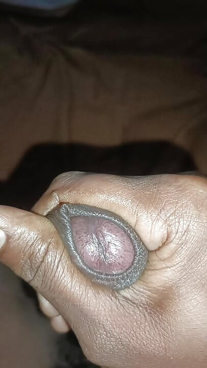 Melancap batang hitam