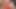 Reife4k. Fette fette Porno-Schauspielerin mit blonden Haaren wird penetriert