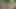 Moans in the woods: I saw a couple giving each other a hard OUTDOORS and I masturbated while recording
