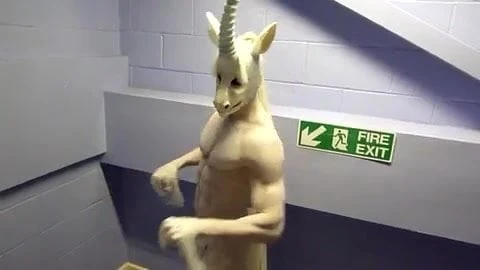 Unicorn manimal