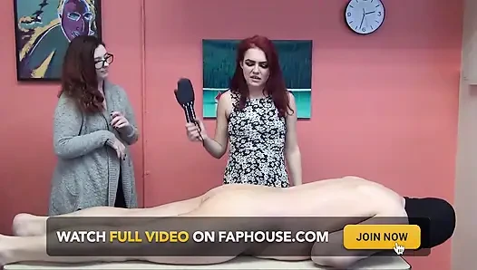 Otoriter priscilla priscilla