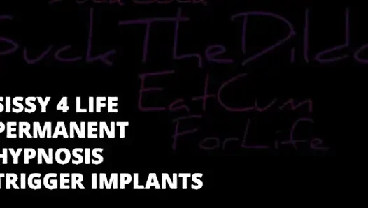 Pemicu permanen nyawa banci 1