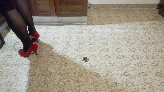 Mommy crush bug 4