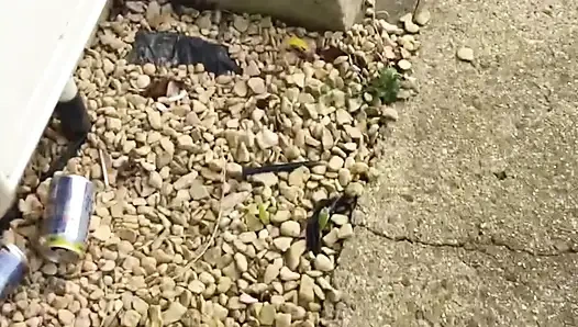 Through the Windows and Got Lucky