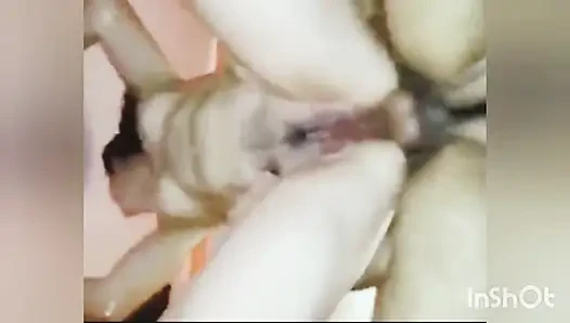 New style unlock for Fuck