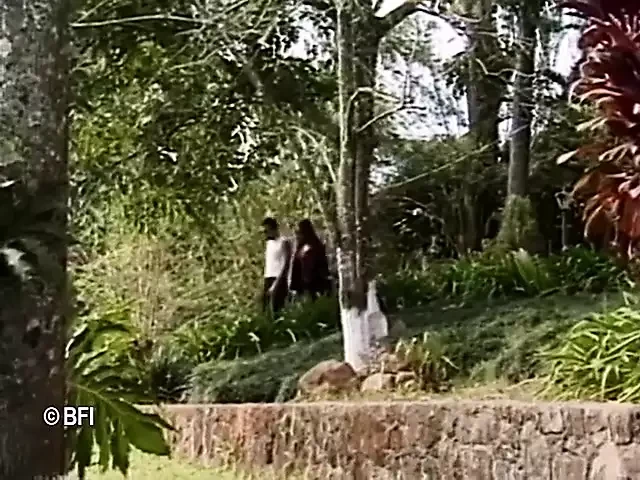 彼女は男性です