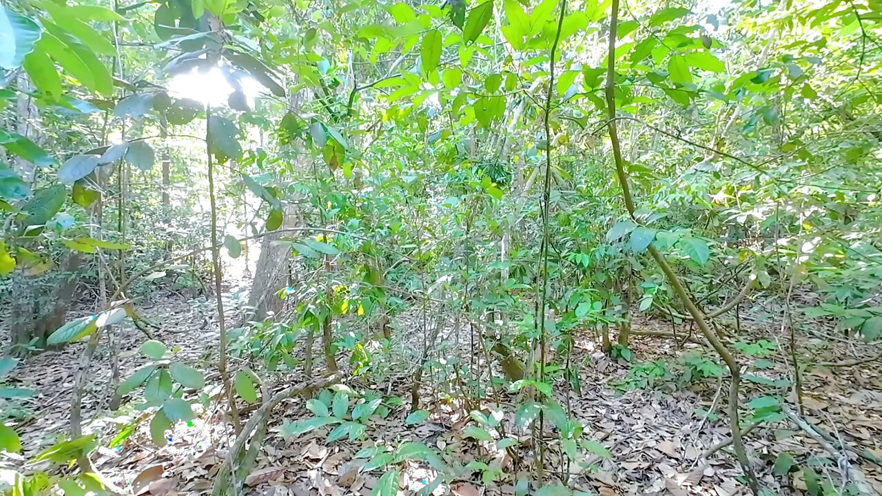 Thai Girl Outdoor Solo - Cuộc phiêu lưu trong rừng 4K
