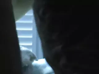 كومينغ على وسادة أزواجها