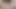 Tantra babalarla yarak konuşması