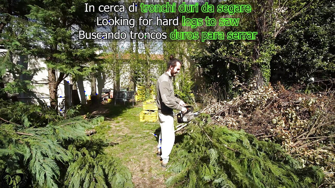 Looking for HARD TRUNKS to saw!(amateur sex in the woods)