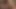 Amateur wife fucking on her back