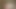 Cumshot