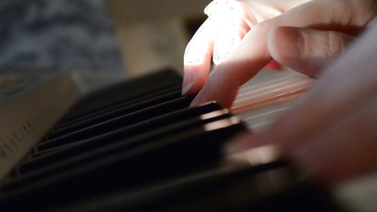 CatFerae video