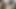 透明パンスト姿のセクシーな脚フェチ。パンストフェチ