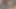 Sevimli Asyalı kız öğrenci öğretmenini emiyor