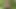I was caught masturbating in the woods