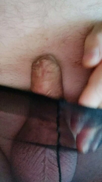 Lope pour maitre