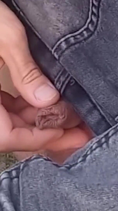Jon Arteen gay twink's soft strokes risky outdoor, caught or not | Clip 1