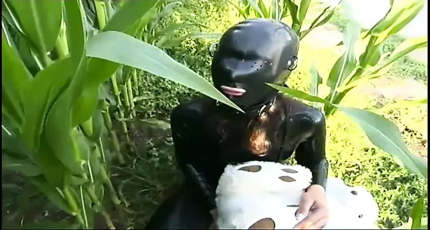 Presenting my latex photo shooting with my stuffed toys