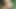 Babe Gave Me an Amazing Blowjob