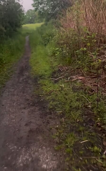 Horny on a barefoot nude walk so I edged my fat cock
