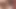 Brunette ladyboy in lace lingerie gives a blowjob before