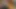 Tiny Cock Bottle, Shake, Cum, Eat