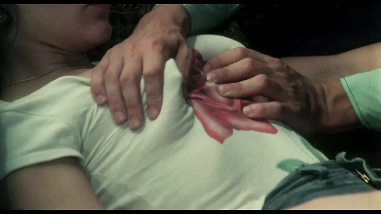 复古 Barbara Lewis 勾引和性交色情