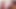 Twitter slut wants you to fuck her ass with a huge dildo